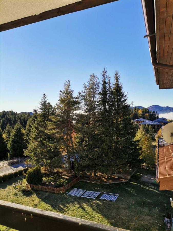 Forest Home 524 Smolyan Exterior foto