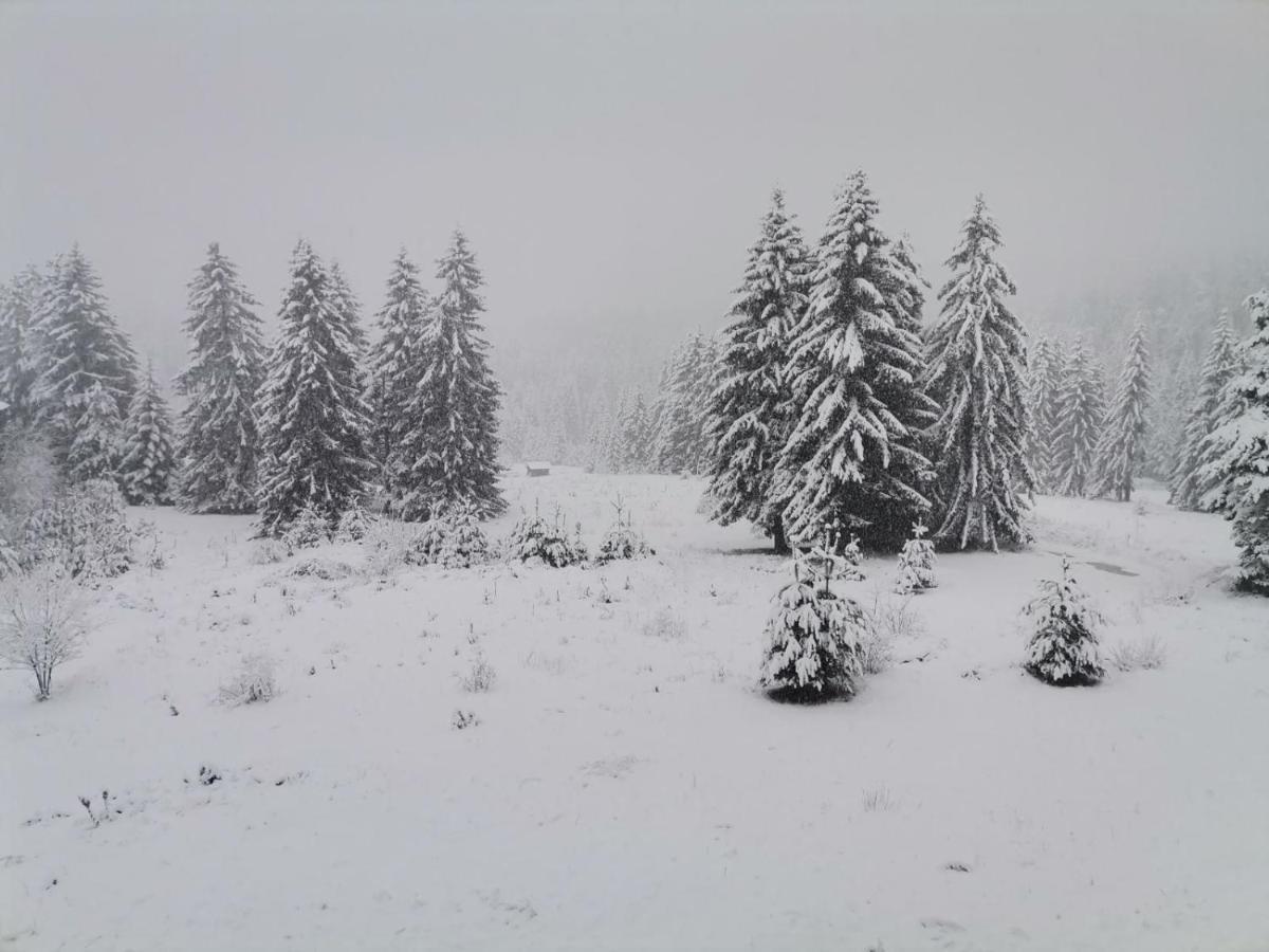 Forest Home 524 Smolyan Exterior foto