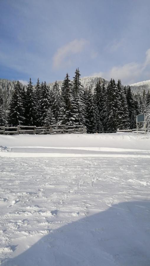Forest Home 524 Smolyan Exterior foto